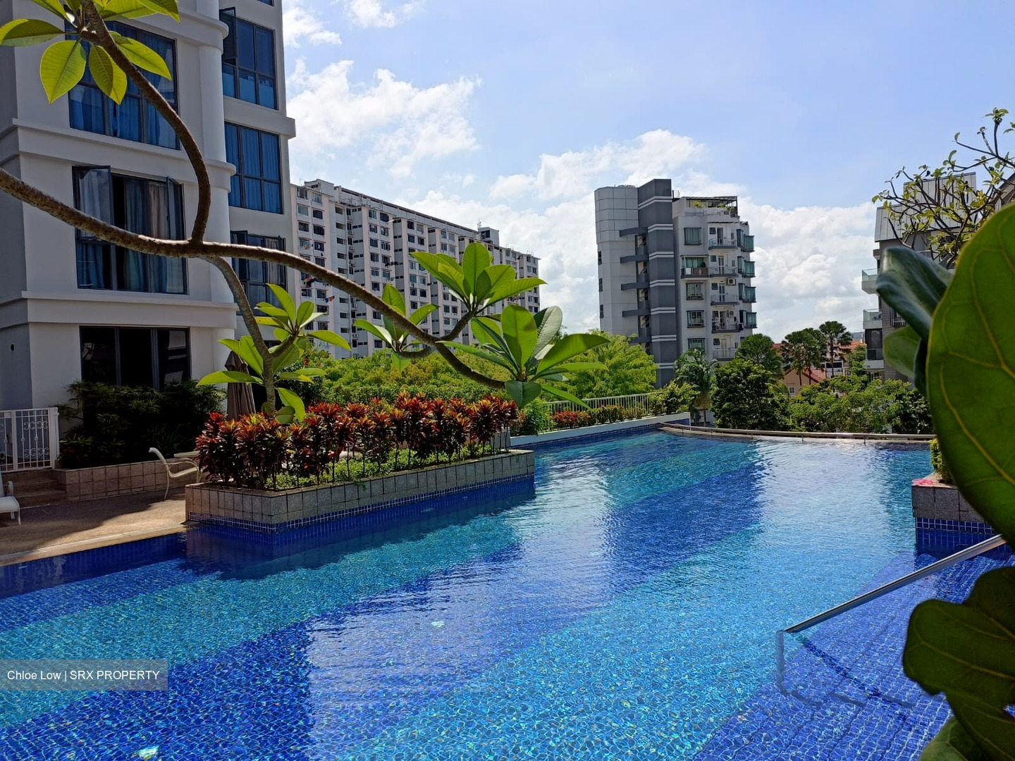 Dunman View (D15), Condominium #633614021